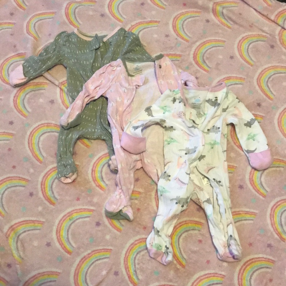 Dino sleepers